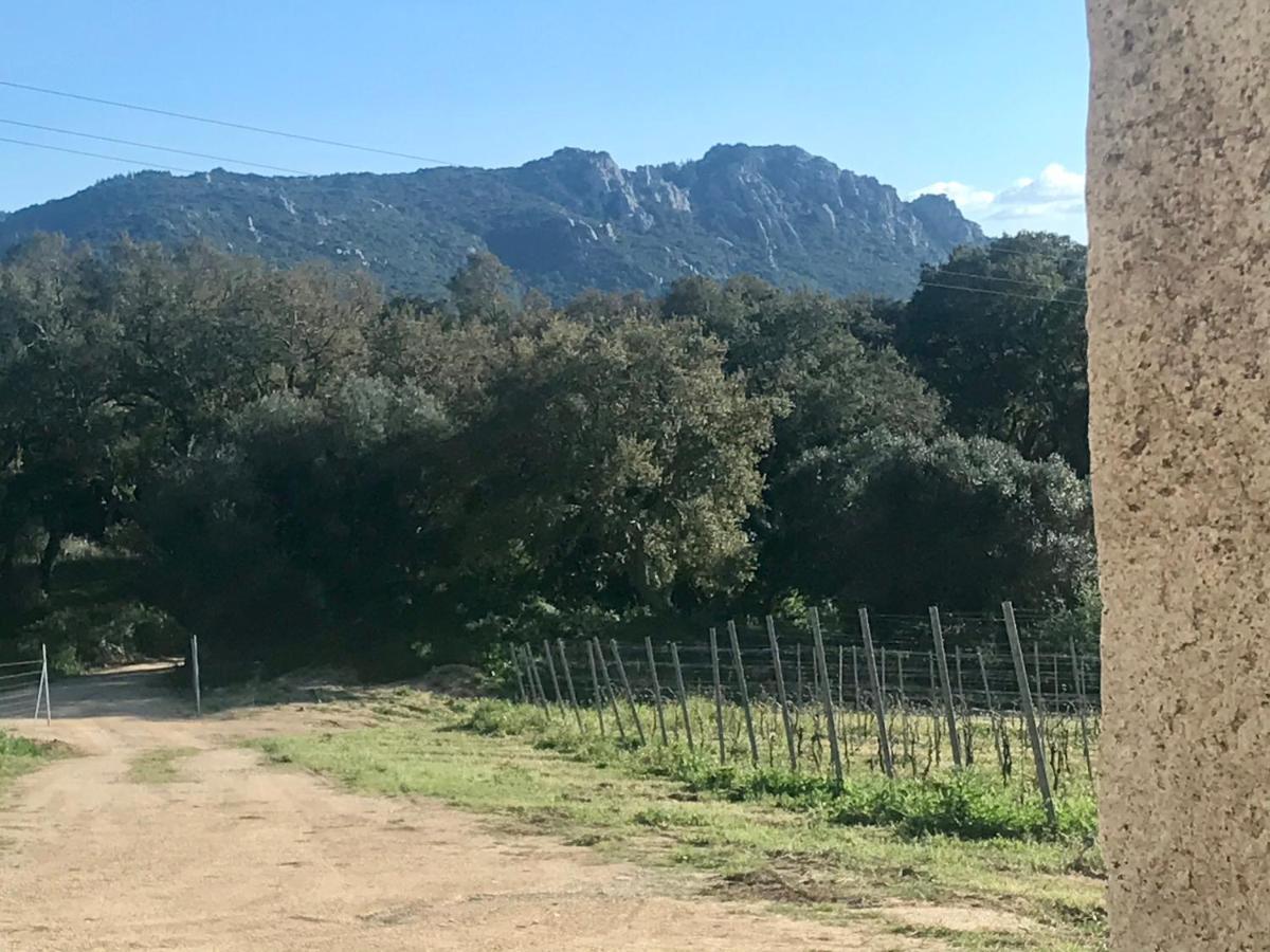 Elegant Country Open Space Deluxe Tenuta Piredu -Monti-Olbia 외부 사진