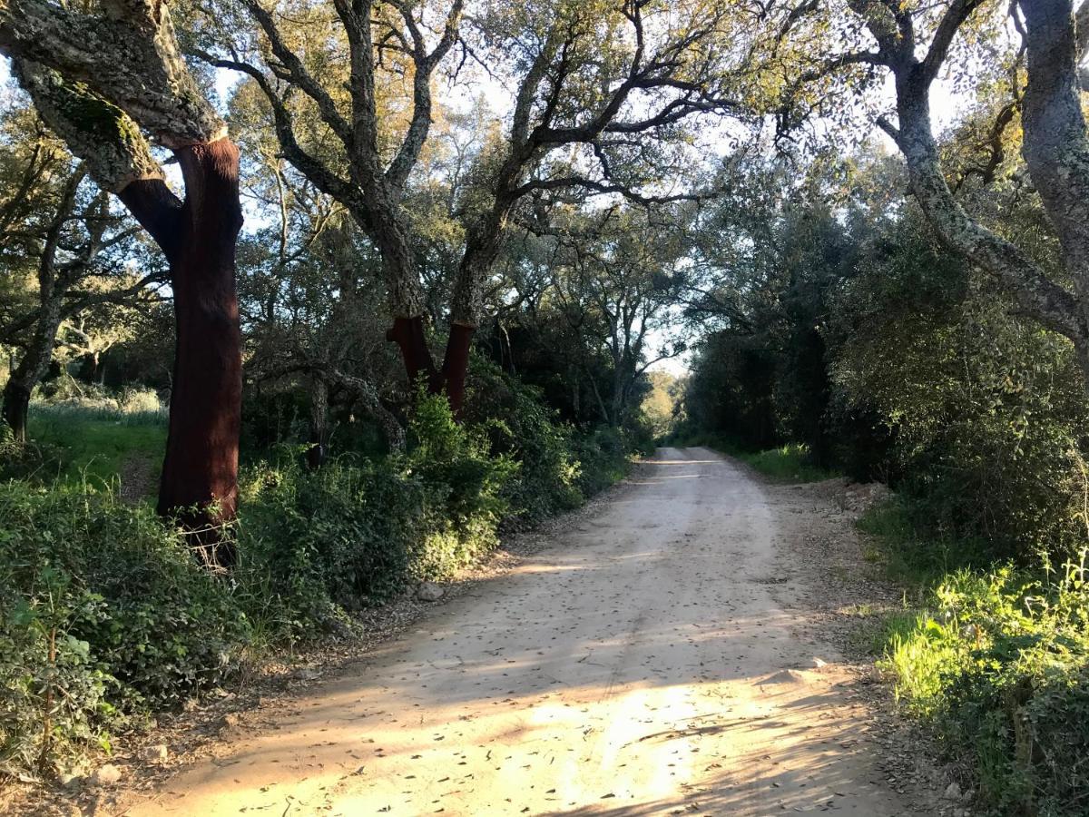 Elegant Country Open Space Deluxe Tenuta Piredu -Monti-Olbia 외부 사진