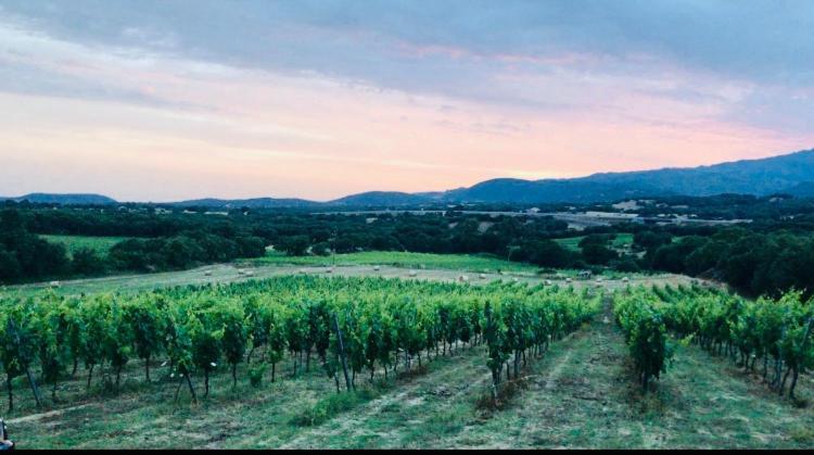 Elegant Country Open Space Deluxe Tenuta Piredu -Monti-Olbia 외부 사진